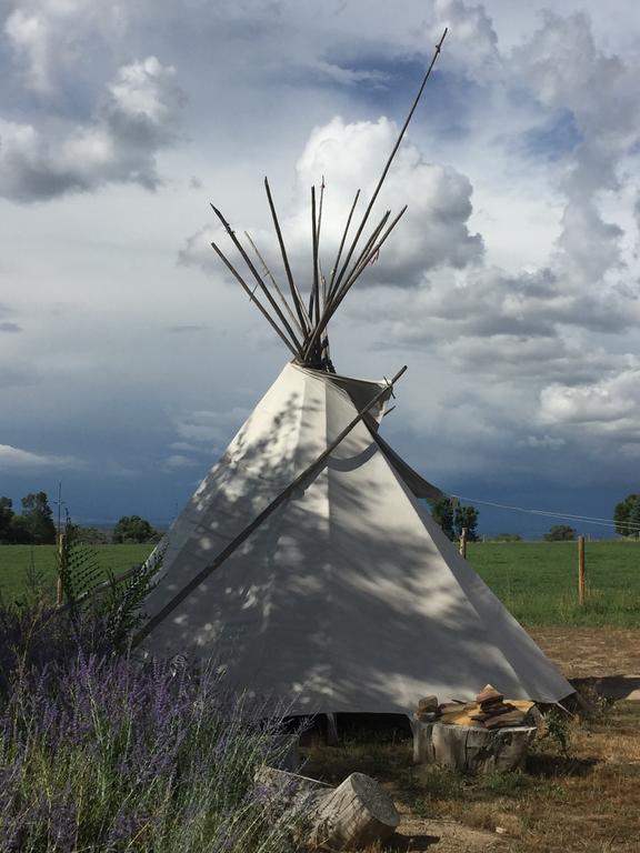 Grizzly Roadhouse Bed And Breakfast Cortez Extérieur photo